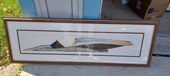 Pelican Picture