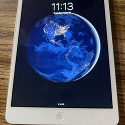 iPad Mini 2 & OtterBox Case Included
