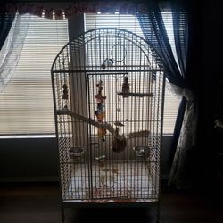 Birdcage