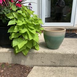 Blue/green Planter 