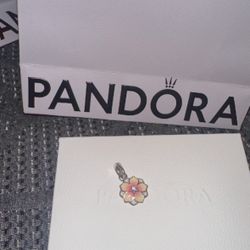 All Types Of Pandora Charms 