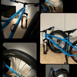 DiamondBack Mountain bike