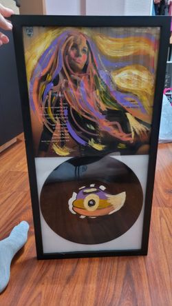 Framed Hand-Painted Vinyl Record Wall Art (or use for frames)
