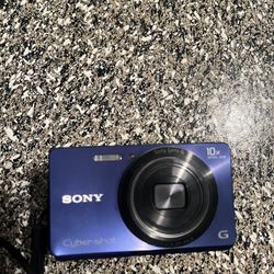 Sony Cyber-shot DSC-W690 