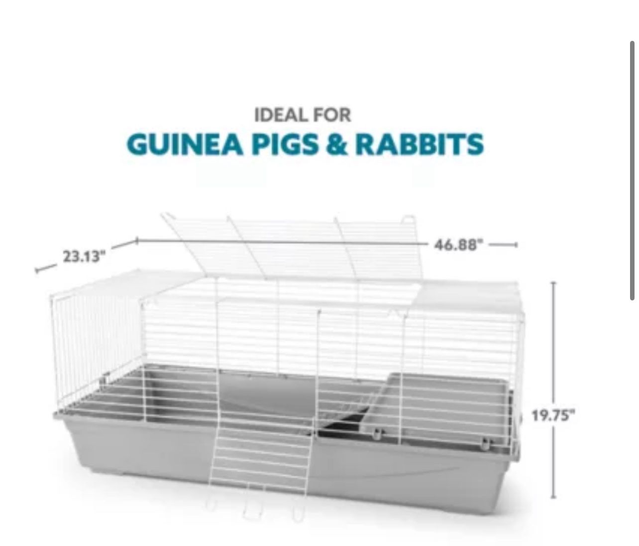 Guinea Pigs & Cage