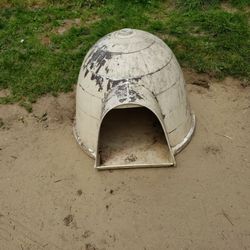 Dog House