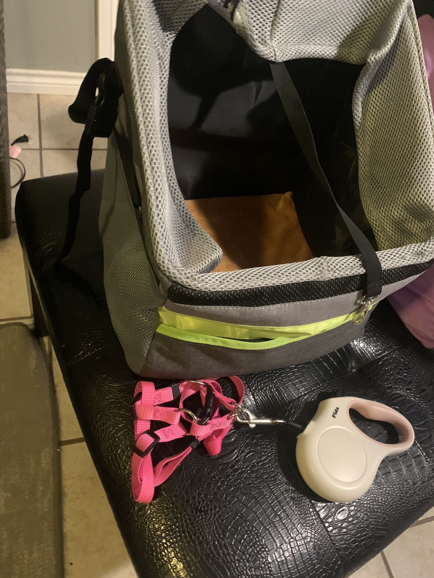 Pet Carrier And Harness 