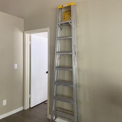 Ladder 8ft 
