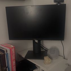Computer Monitor 