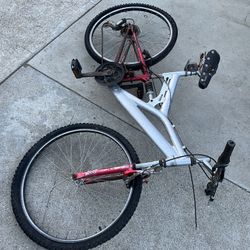 Mountain Bike