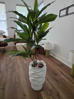 Artificial plant