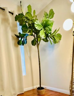 7ft fiddle tree artificial
