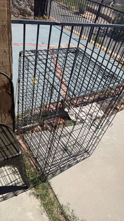 Large dog crate