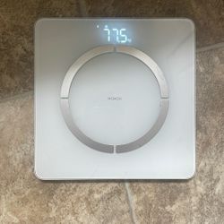 Scale 
