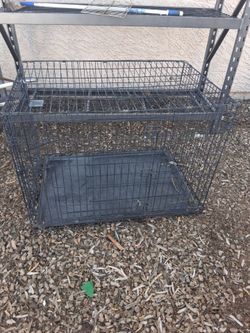 Large Wire Dog Crate with Tray