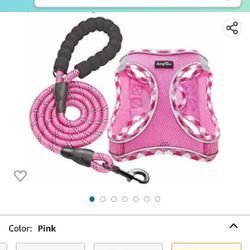 dog harness and leash