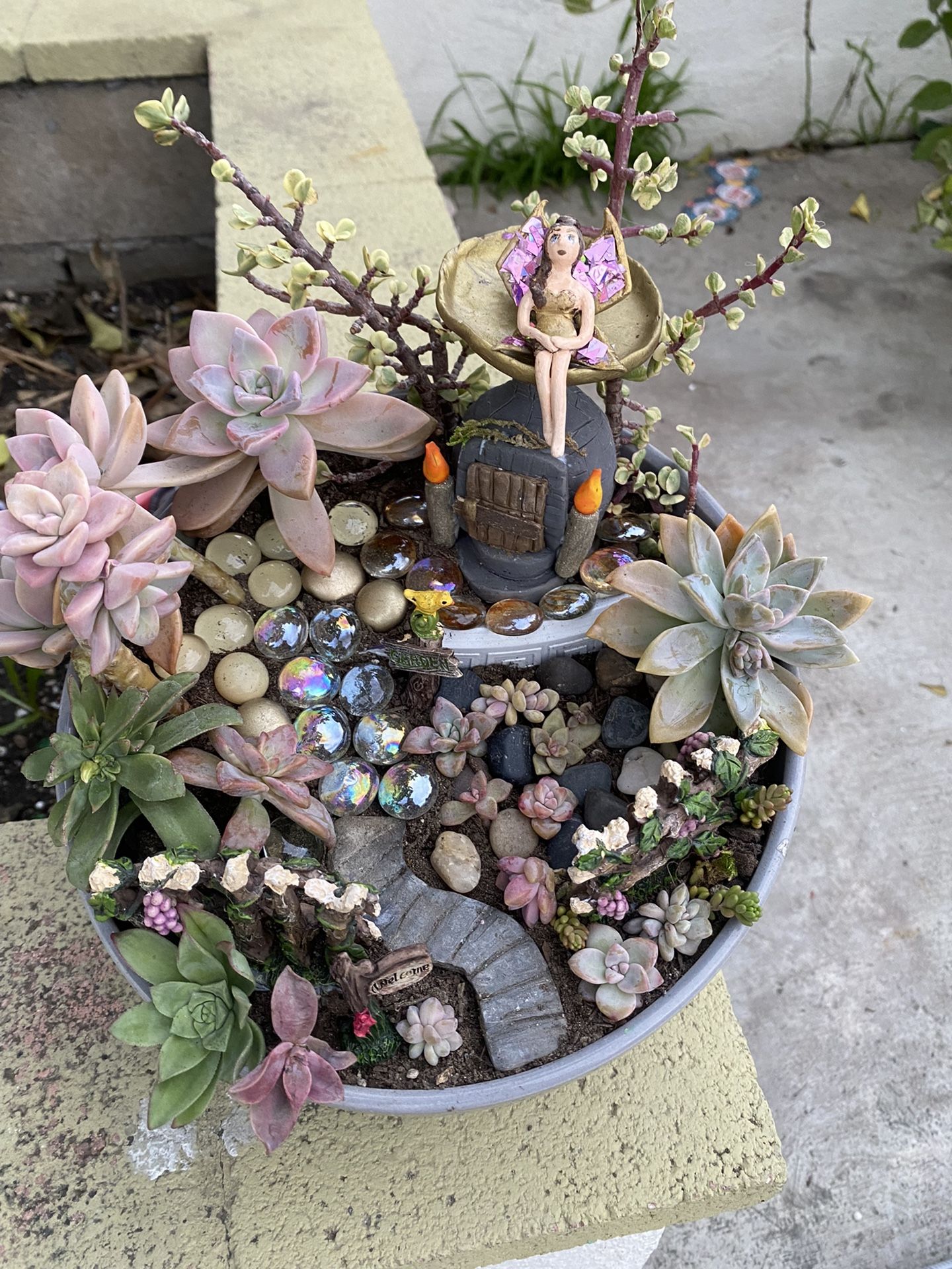 Mini Succulent Fairy Garden