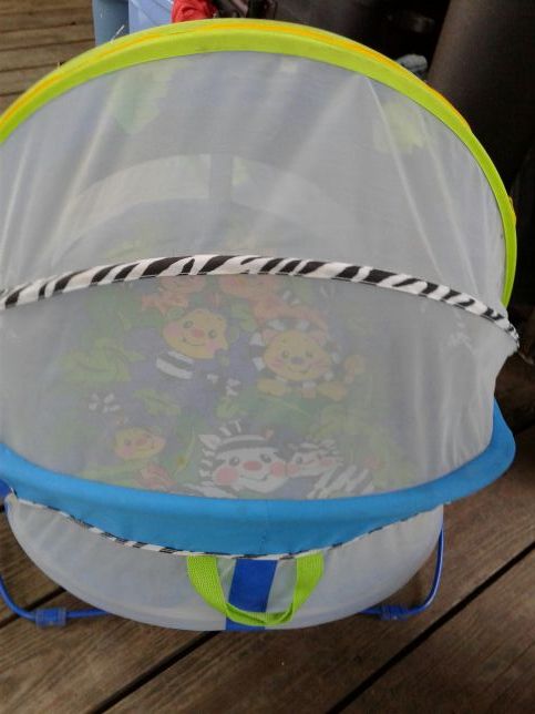 Fisher Price Outdoor Portable Bounce & Play Activity Dome Bassinet