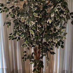 Artificial Ficus Tree 