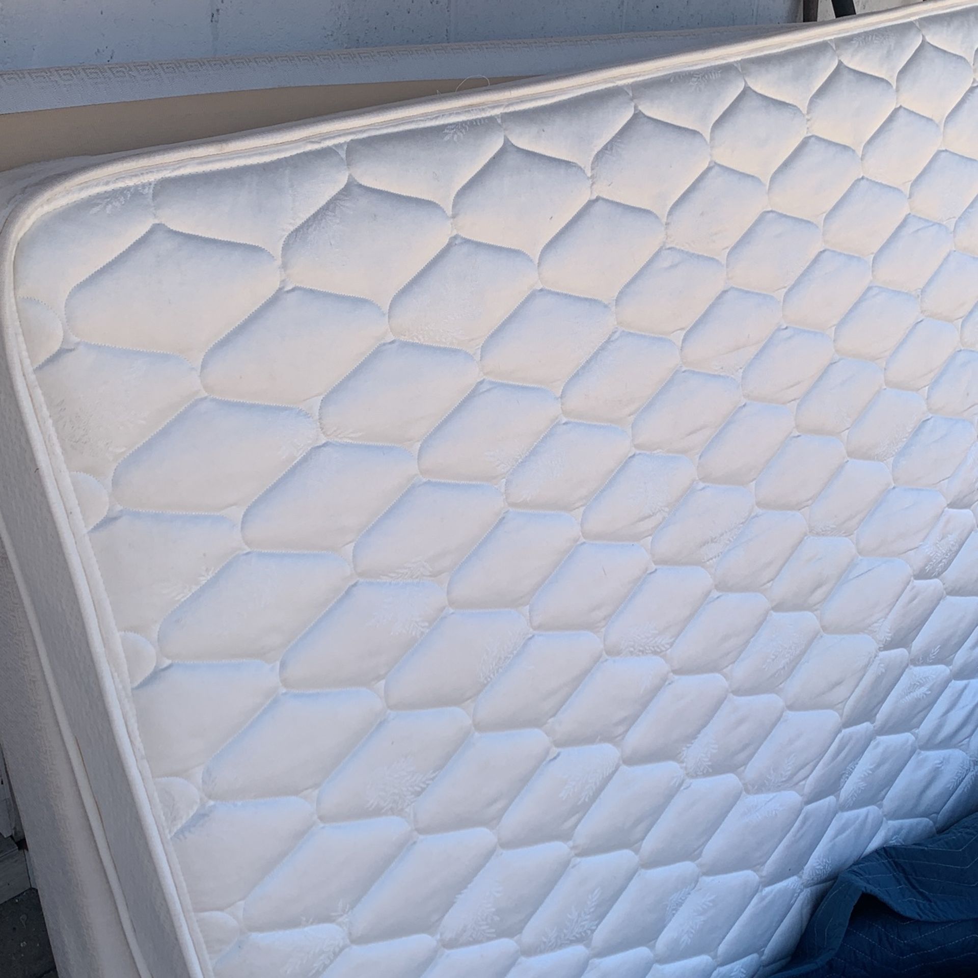 Free Full Size Bed And Box Spring