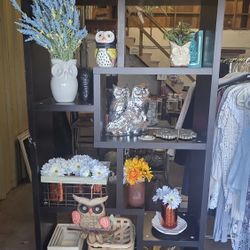 ✨ 50% Off Everything! ✨ 