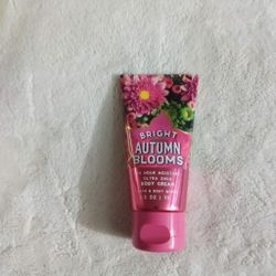 Bright Autumn Blooms 