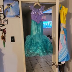 Disney Princess Dress