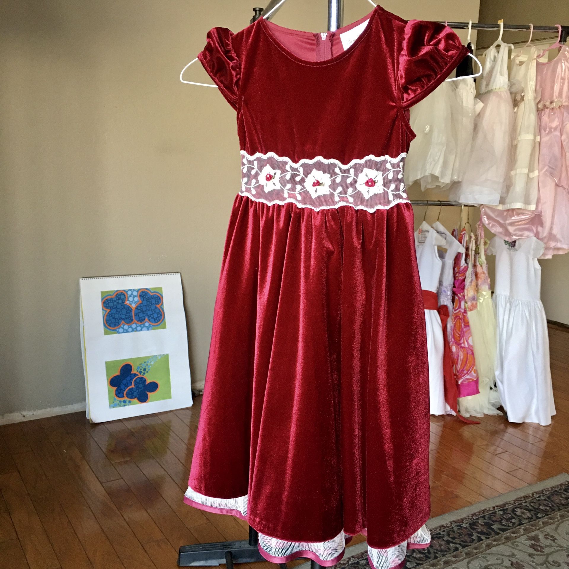 Little Girl’s Beautiful Holiday Party Dress