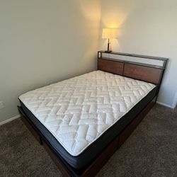 Queen Bed and Mattress