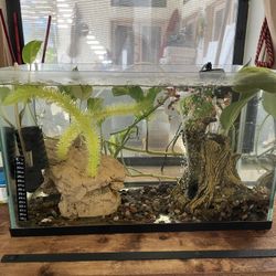 10 Gallons Tank Frameless 