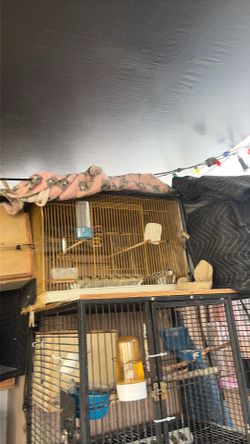 Bird cage