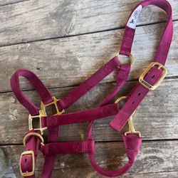 Magenta Weaver Horse Halter