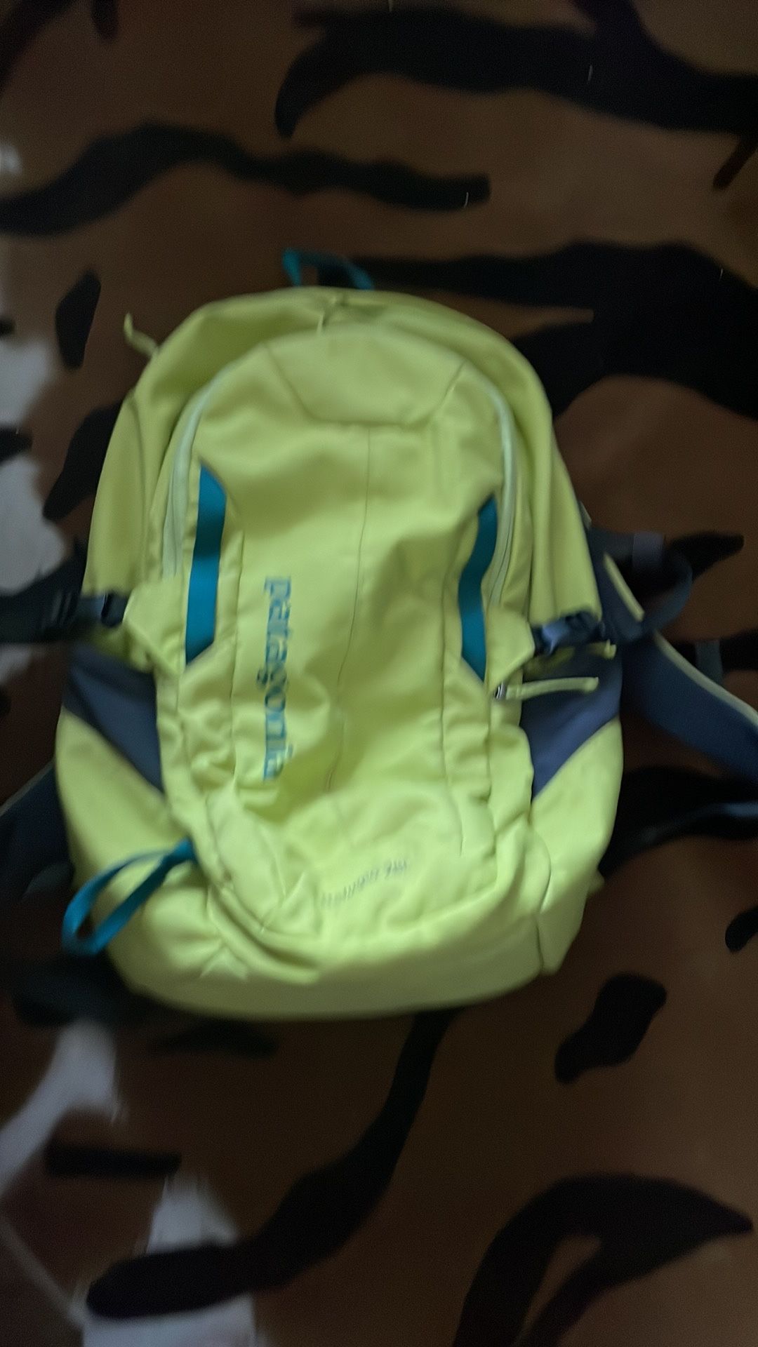 Patagonia Backpack