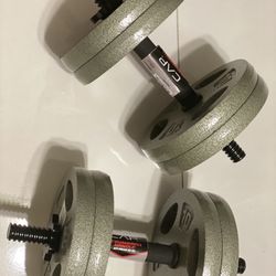 14" Dumbbell Handle with Spinlock Collars, Single ,Weightlifting Plate, 80 lbs