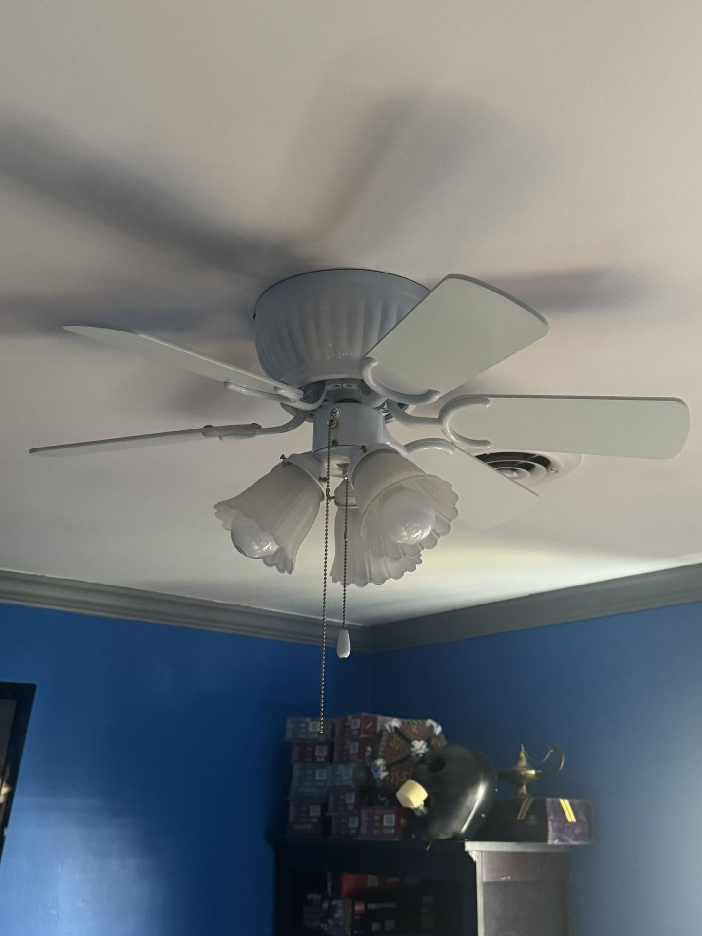 Ceiling fan