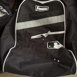 Baseball Bags Just Used A Season 