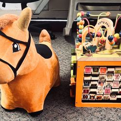 Activity Cube and Horse