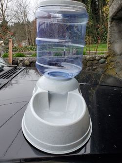 Large Dog food feeder