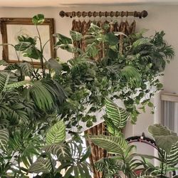Silk Plants Display. Trees, Fern, Sago, Robellini, Pothos