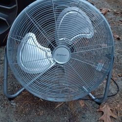 Fan