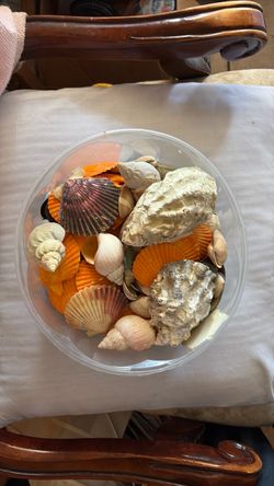Different types of national shells. Please read description.