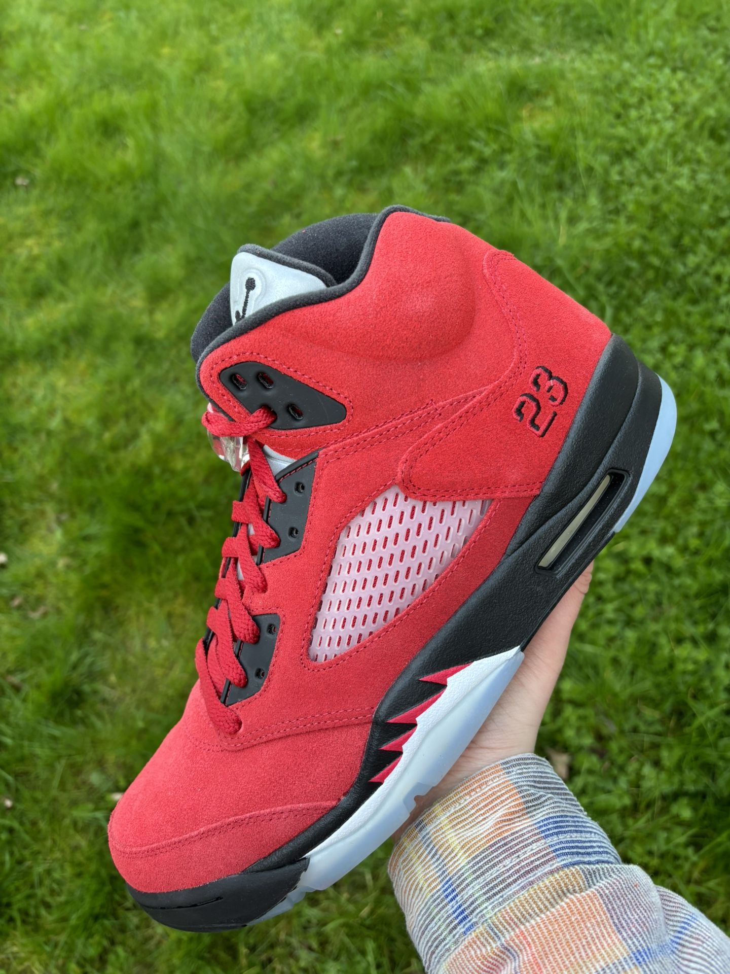 Jordan 5 Ragging Bull