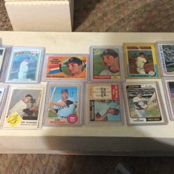 Yaz Collection 