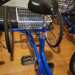 Keny Alameda 26in Trike.