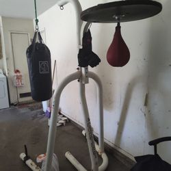 Bag And Speed Bags