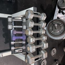 Dumbbells 