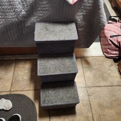 Pet Steps w/storage