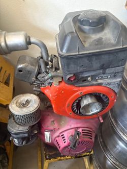 Gx240 And Briggs Animal