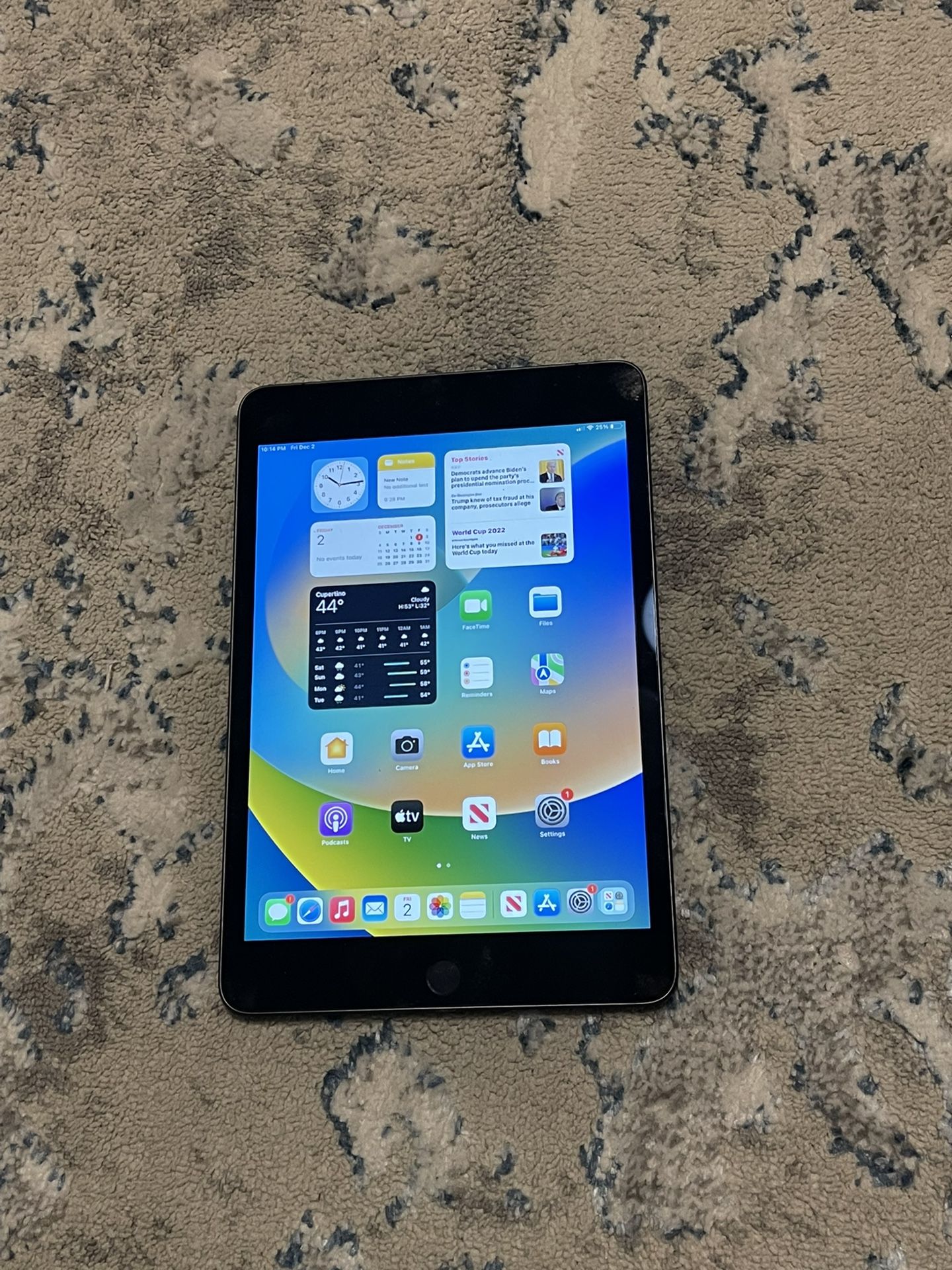 iPad mini 5/ WiFi And Cellular Unlocked