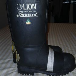 Lion Fire Boots By Thorogood 
